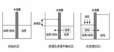 ro膜是什么？為什么說它是凈水器的靈魂？