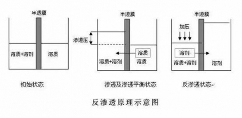 ro膜是什么？為什么說它是凈水器的靈魂？  hot