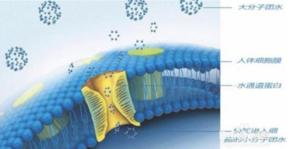 什么是小分子水 納米小分子水凈水機