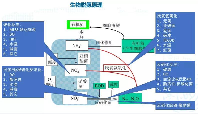 碳中和趨勢下污水處理節(jié)能降耗技術(shù)需求解讀