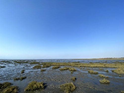 寧夏農(nóng)村生活污水治理越來越“智慧”